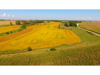 Property photo 15 - PRIME LAND AUCTION - 244+/- ACRES OFFERED IN 4 TRACTS IN UNION CO., IN & PREBLE CO., OH